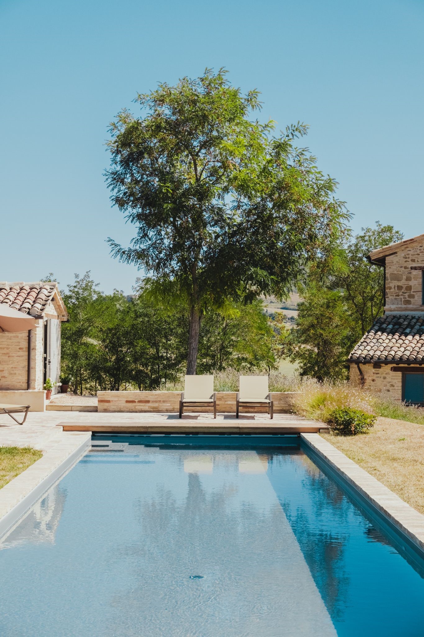 Backyard pool