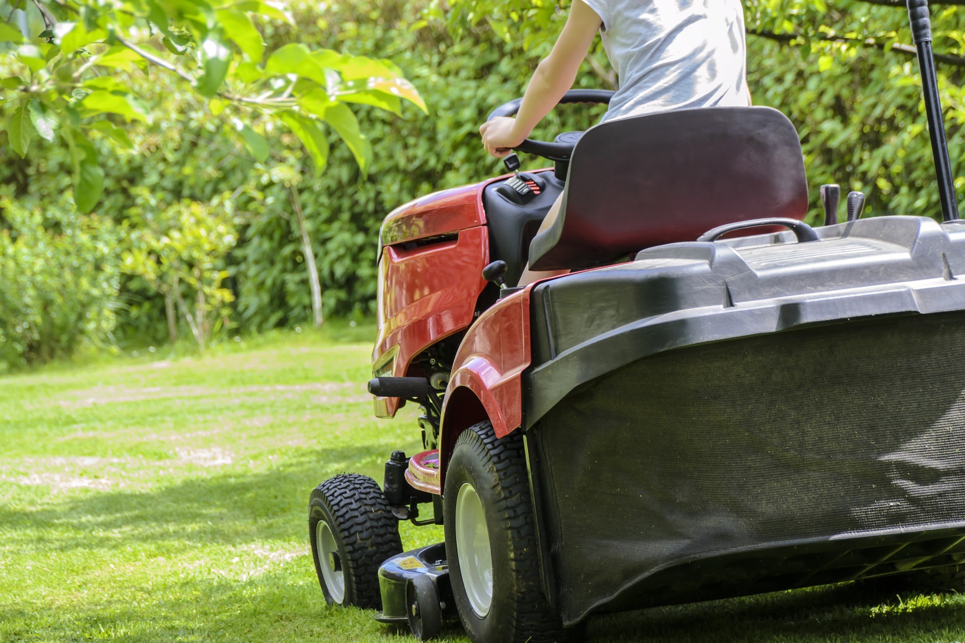 motorized lawnmower