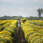 Essential Tips for Maintaining Farm Restrooms with VIP To Go image 