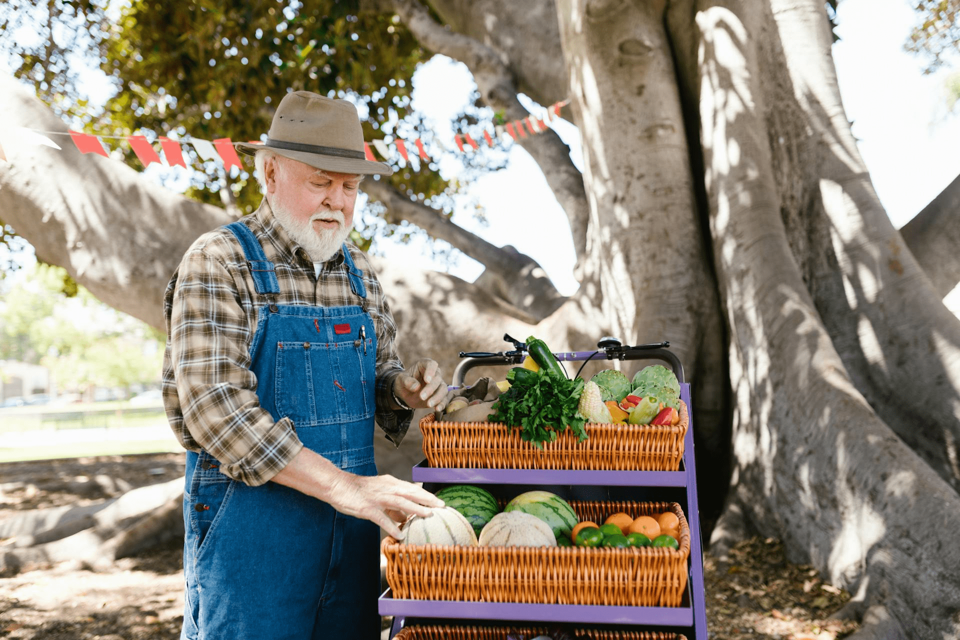 get health and hygiene in farm restrooms for farm workers with VIP